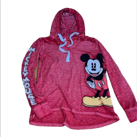 Disney world authentic Disney parks lightweight hoodie - Picture 1 of 6